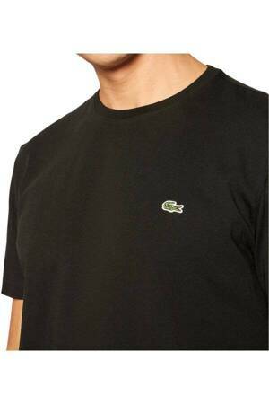 logo lacoste