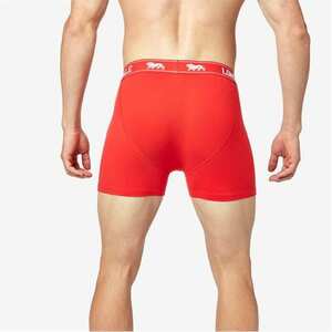 bokserki czerwone