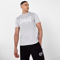 Everlast szary tshirt męski Geo