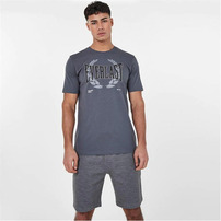 Everlast szary t shirt męski Laurel, Rozmiar XL